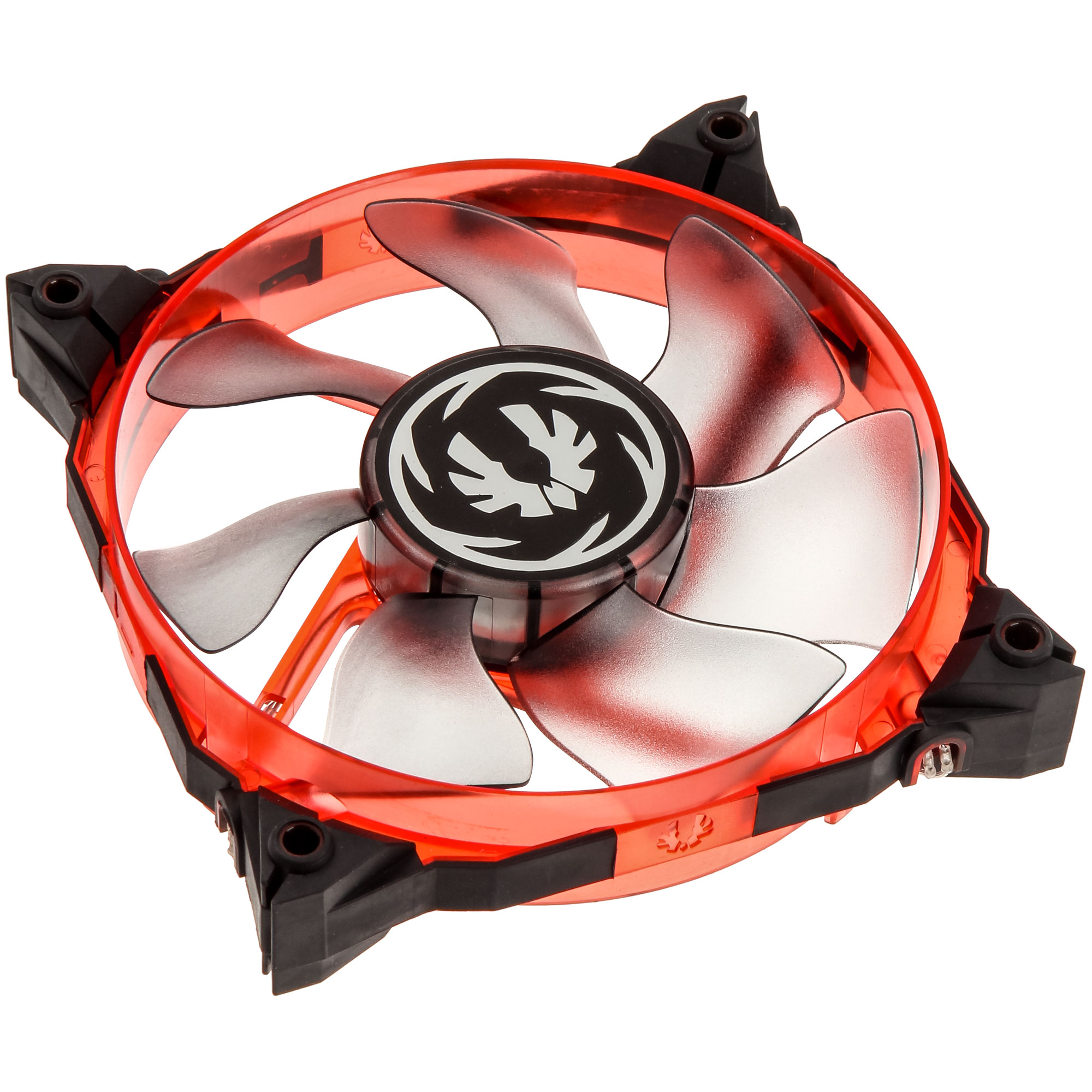 BFF SXTR 12025R RP 2